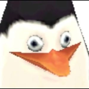 Meet your Posher, Jayden